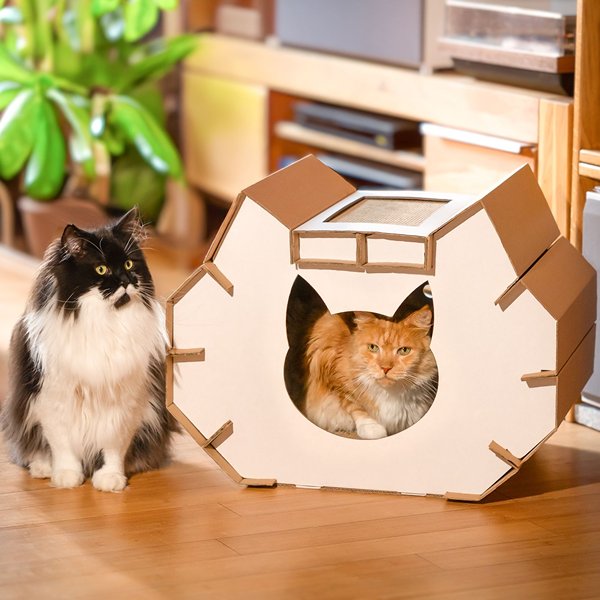 Gesundes Katzenhaus aus deutschem Karton ohne Müll