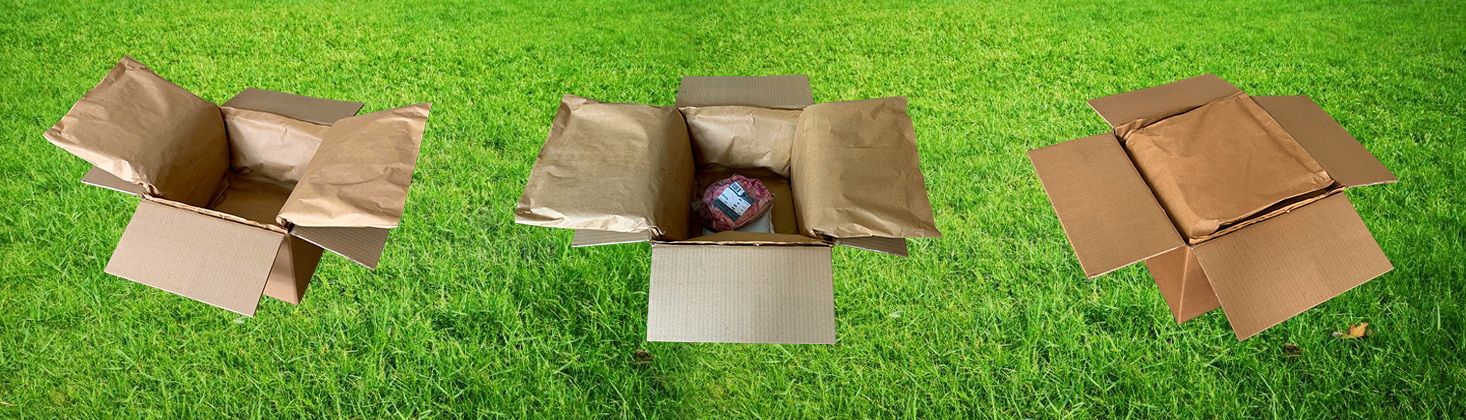 P3 Cool ökologische Verpackung für Kühlversand